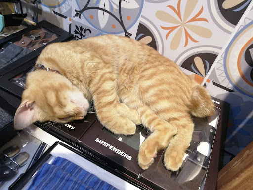 Top 3 cửa hàng đồ vintage Huyện Thanh Oai Hà Nội 2022