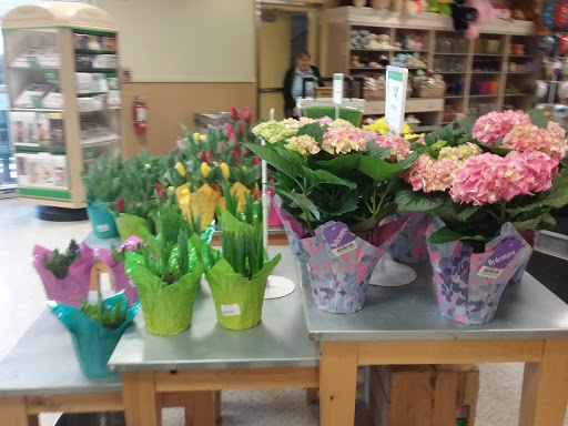 Supermarket «Publix Super Market at Collier Commons», reviews and photos, 2121 Collier Pkwy, Land O Lakes, FL 34639, USA