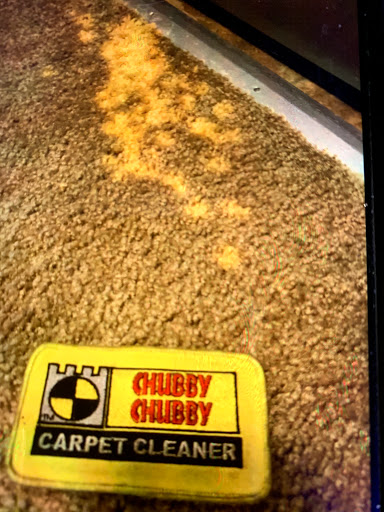 Chubby Chubby Carpet Cleaner in DuPont, Washington