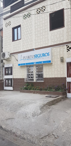 Puertoseguros S.A. - Agencia de seguros