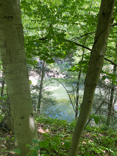 Golf Course «Sunset Valley Golf Course», reviews and photos, 47 W Sunset Rd, Pompton Plains, NJ 07444, USA