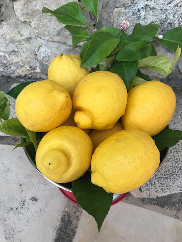 Épicerie Les Vergers de Boirie Menton