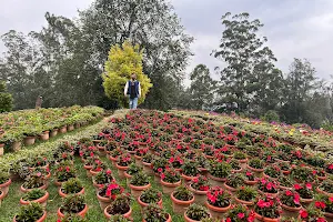 Hydel Park parking ground image