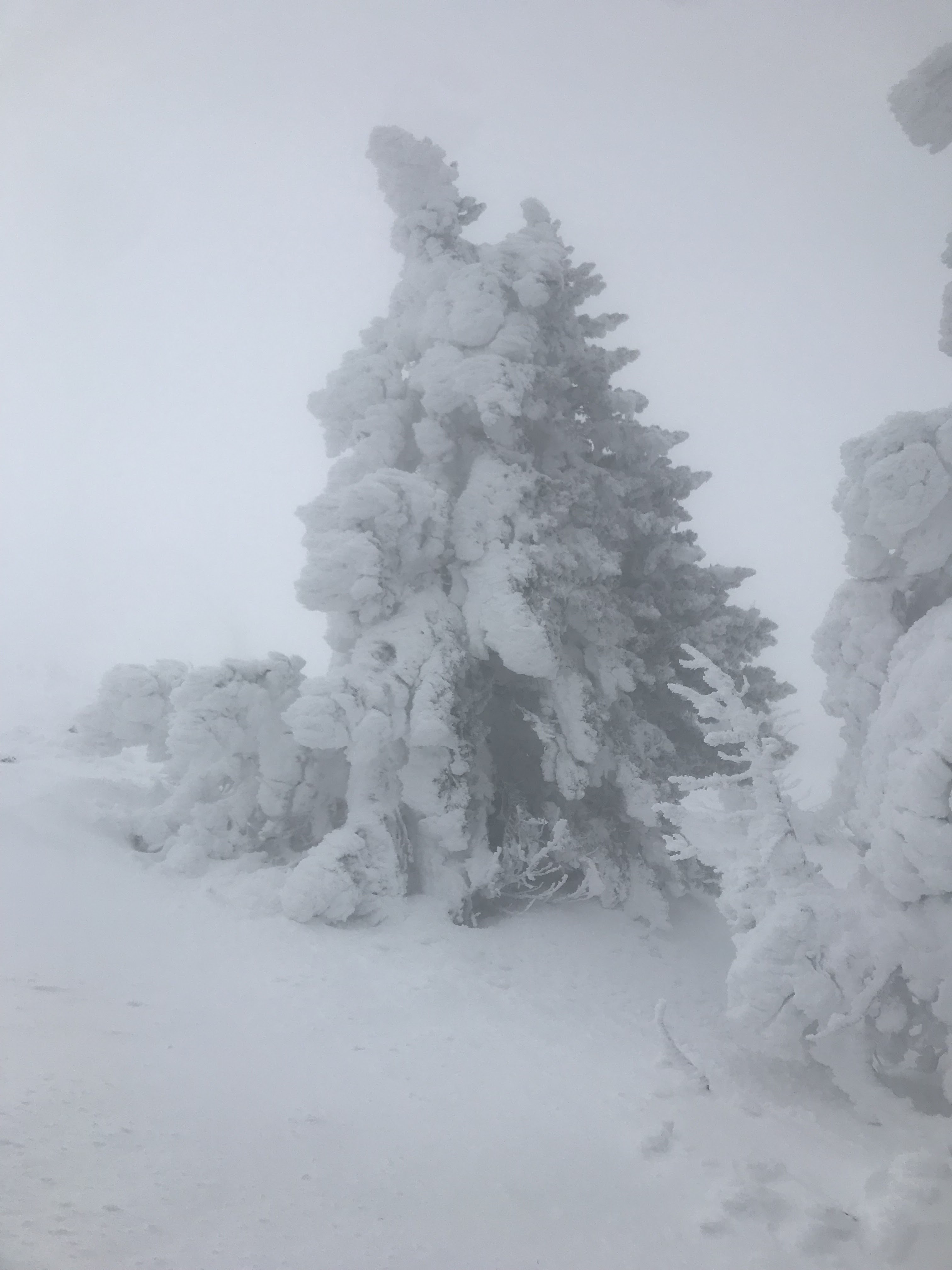 Photo n° 3 de l'avis de sylvain. fait le 29/01/2023 à 18:41