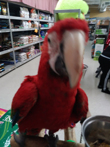 Pet Store «Petland Plano», reviews and photos, 1301 Custer Rd #405, Plano, TX 75075, USA