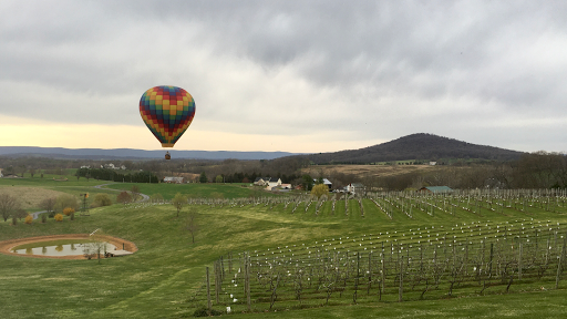 Winery «Third Hill Winery @ DeMello Vineyards», reviews and photos, 2110 Quicksburg Rd, Quicksburg, VA 22847, USA