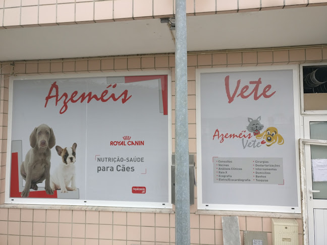 Azemeisvete-Clinica Veterinaria, Lda - Oliveira de Azeméis