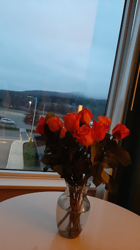 Casino «Tioga Downs Casino», reviews and photos, 2384 W River Rd, Nichols, NY 13812, USA