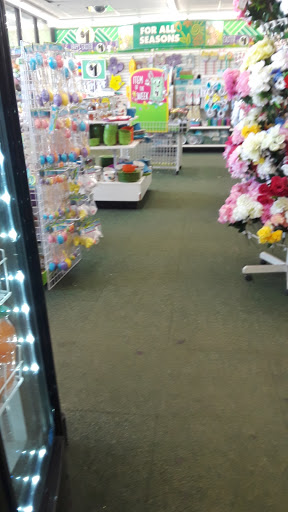 Dollar Store «Dollar Tree», reviews and photos, 1275 Fall River Ave, Seekonk, MA 02771, USA