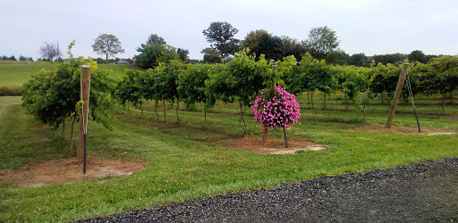 Winery «Byler Lane Winery», reviews and photos, 5858 Co Rd 35, Auburn, IN 46706, USA