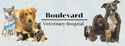 6636 Virginia Beach Blvd, Norfolk, VA 23502, USA