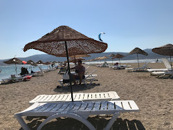 Ozbek Beach'in fotoğrafı ve güzel manzarası