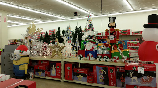 Discount Store «Big Lots», reviews and photos, 2309 N Triphammer Rd, Ithaca, NY 14850, USA