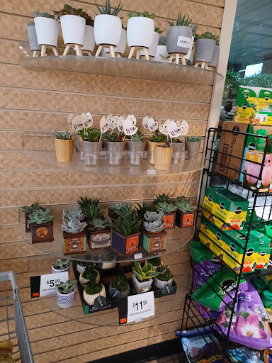 Grocery Store «Giant Food Stores», reviews and photos, 4001 New Falls Rd, Levittown, PA 19056, USA