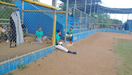 Marmolejos Baseball Academy - 89CV+7X3, La Penda 41000