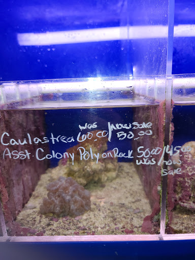 Pet Store «V.I. Pets», reviews and photos, 11975 E Lakewood Blvd, Holland, MI 49424, USA