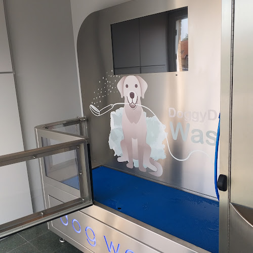 Beoordelingen van DoggyDog Wash Selfservice in Sint-Niklaas - Hondentrainer