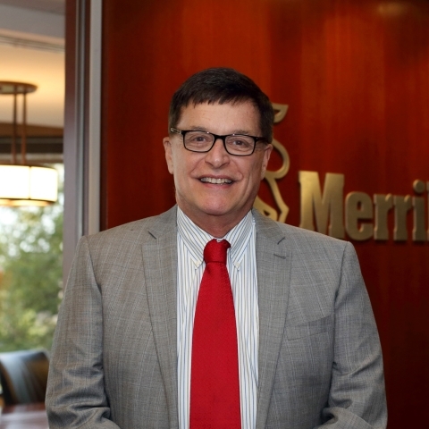 Merrill Lynch Wealth Management Advisor Michael J Wiggins