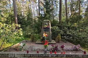 forest cemetery image