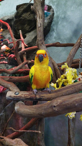 Pet Supply Store «PetKraze», reviews and photos, 100 Independent Way, Brewster, NY 10509, USA