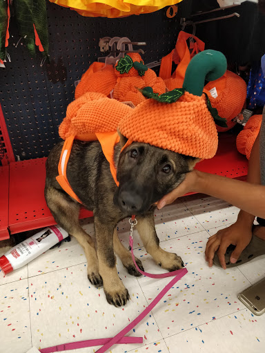 Pet Supply Store «Petco Animal Supplies», reviews and photos, 551 W Hampden Ave, Englewood, CO 80110, USA