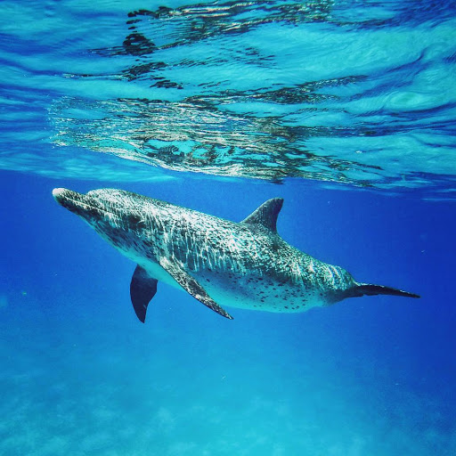 Best Excursion Cancun