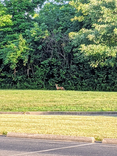 Park «Heritage Oak Park», reviews and photos, 4601 US-42, Mason, OH 45040, USA