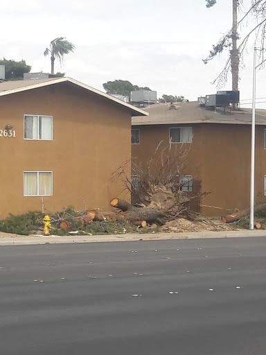 Community Center «East Las Vegas Community Center», reviews and photos, 250 N Eastern Ave, Las Vegas, NV 89101, USA