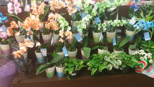 Grocery Store «Kroger», reviews and photos, 310 W North St, Kendallville, IN 46755, USA