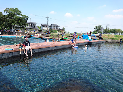 嘉島町湧水公園 天然プール