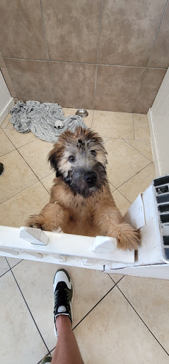 Pet Supply Store «Lil Rascals», reviews and photos, 10035 Gulf Center Dr #105, Fort Myers, FL 33913, USA