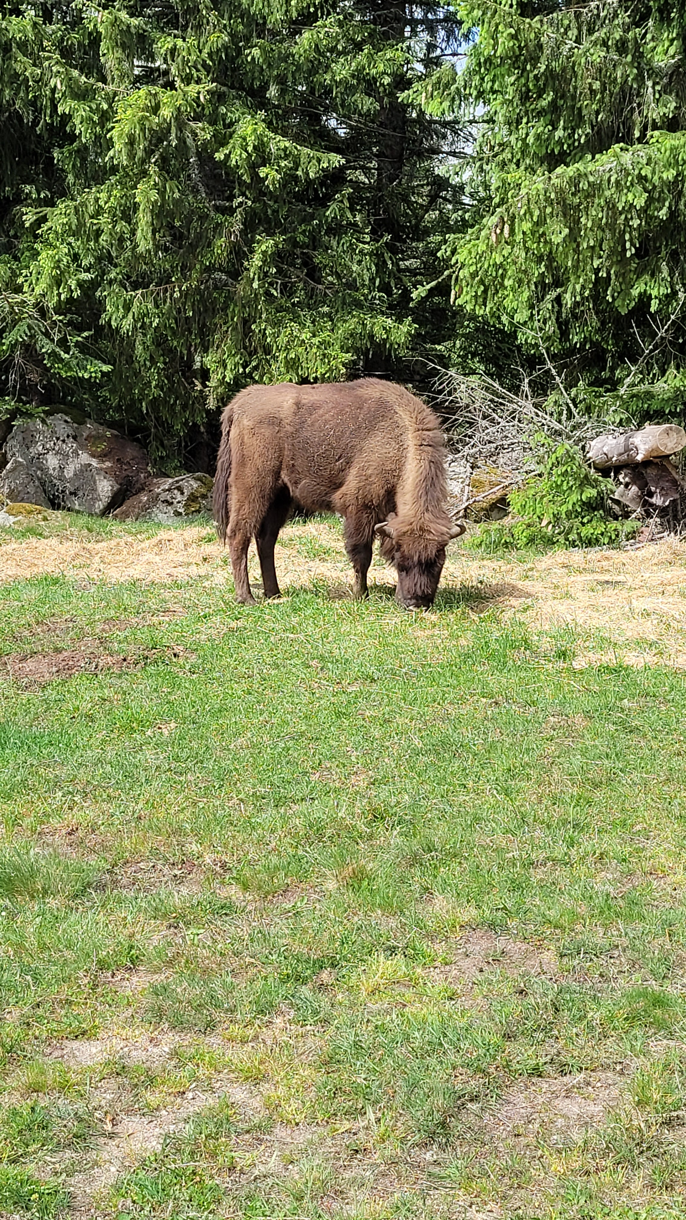 Photo n° 2 de l'avis de Véronique.o fait le 02/06/2022 à 12:45