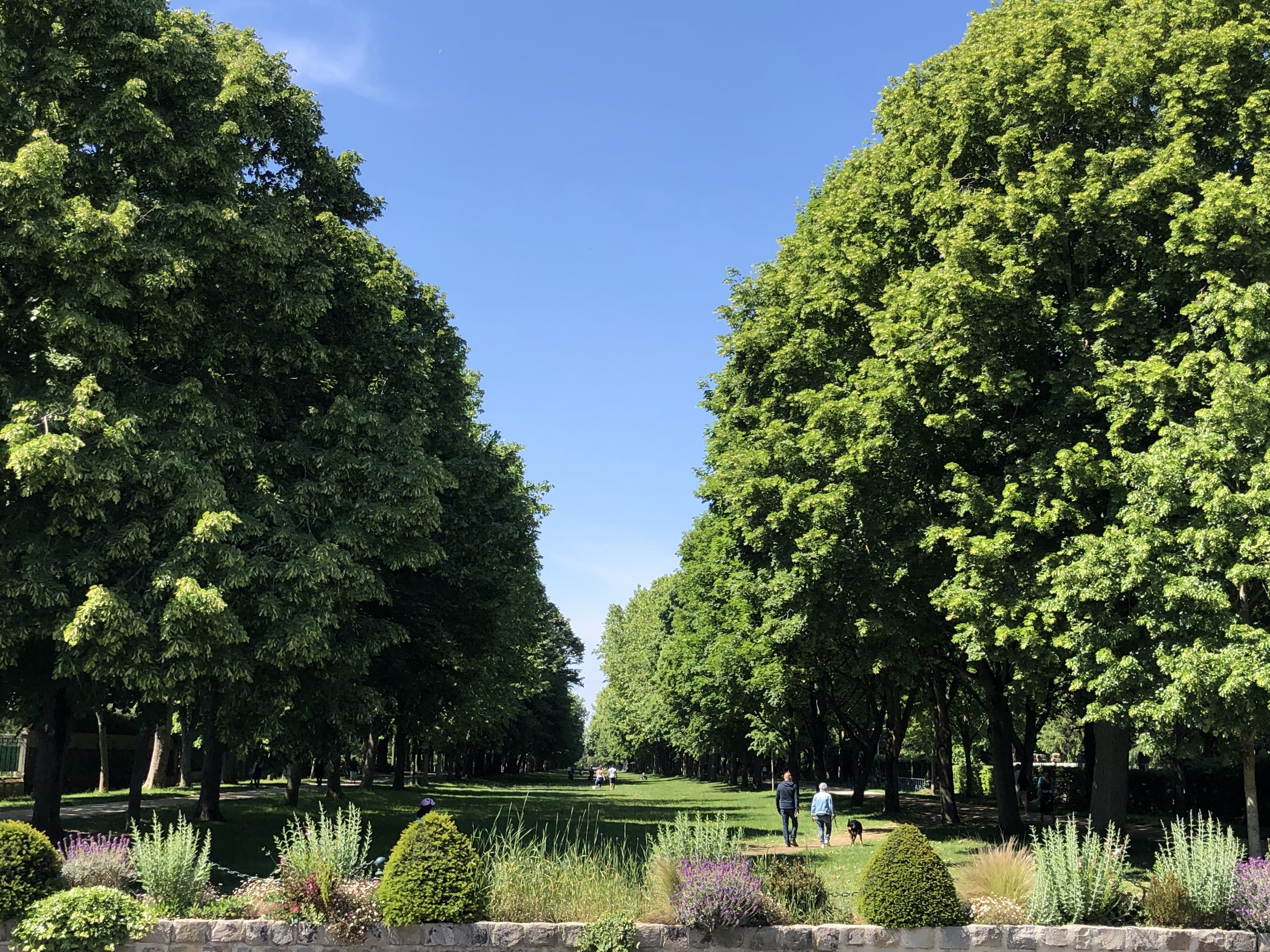 Photo n° 25 de l'avis de Sergiu.u fait le 17/05/2020 à 13:43