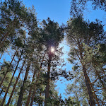 Photo n°10 de l'avis de David.a fait le 09/07/2020 à 10:17 sur le  Sportcenter Deutschnofen à Deutschnofen