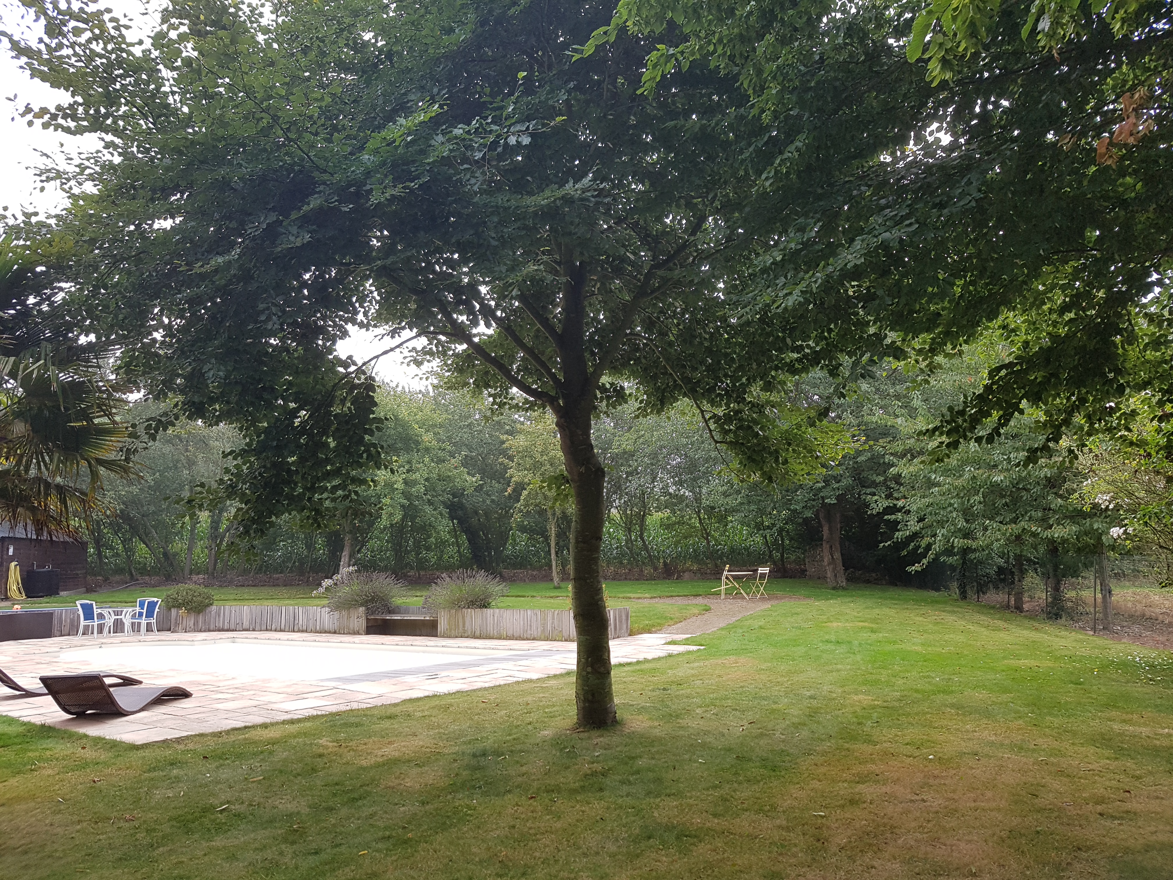 Photo n° 10 de l'avis de Dan. fait le 09/09/2017 à 14:11