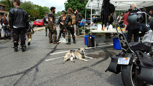 Motorcycle Shop «City Moto», reviews and photos, 4911 N College Ave, Indianapolis, IN 46205, USA