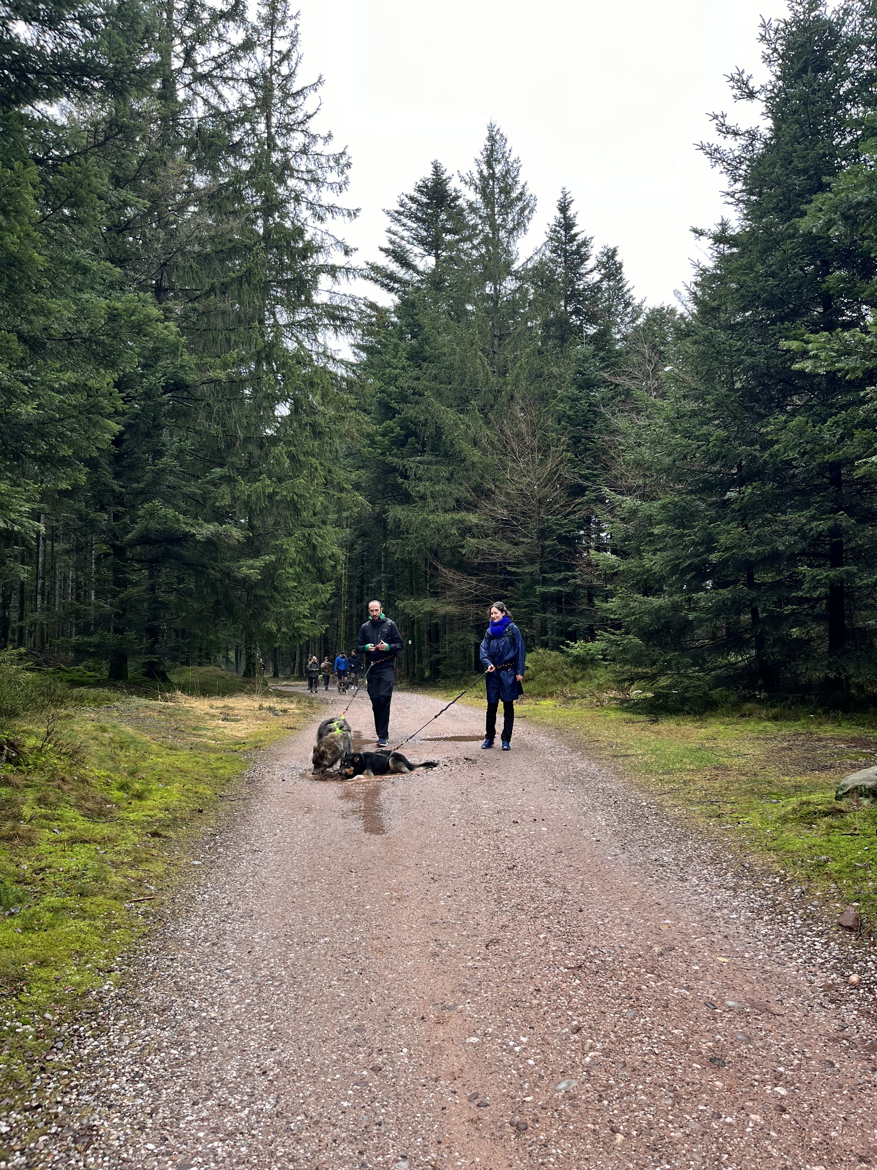 Photo n° 2 de l'avis de Marie.A fait le 23/02/2024 à 17:09