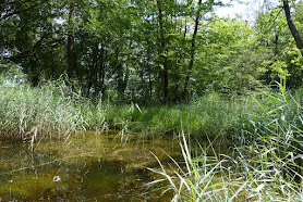 Thurauen Naturschutzgebiet