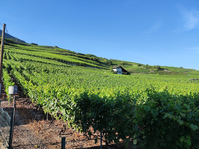 Foyer Haut de Cry - Sitten