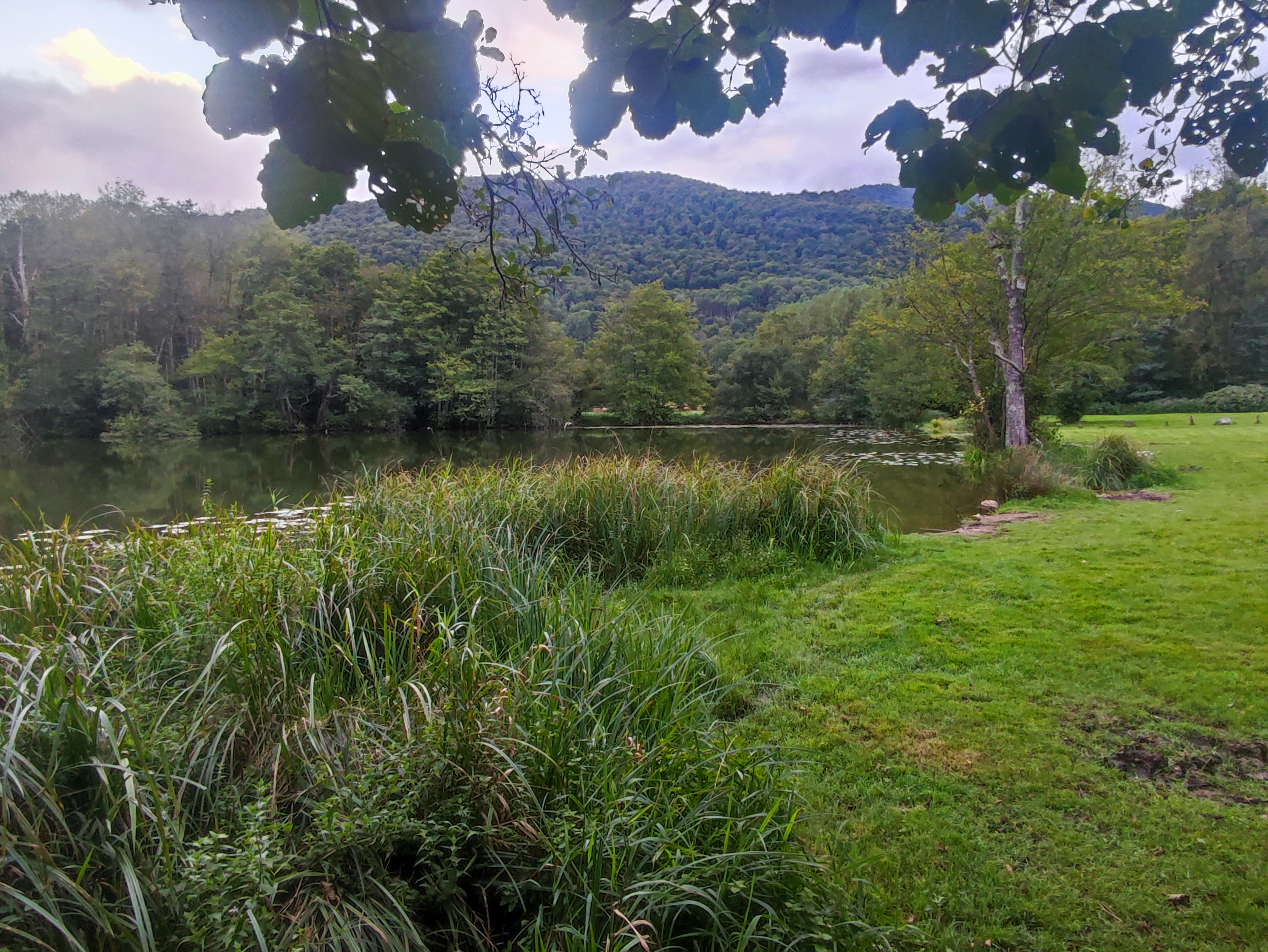 Photo n° 2 de l'avis de Xavier. fait le 18/09/2023 à 13:49