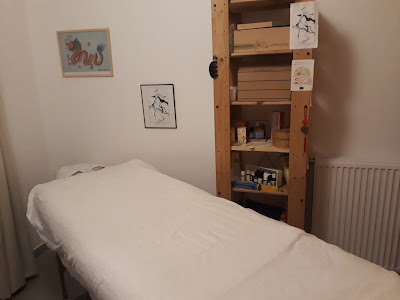Emmanuelle Amoros - Massage Tuina, acupression, MTC à Lyon