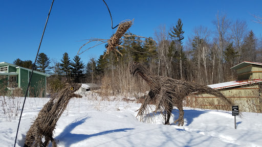 Environmental Organization «VINS Nature Center», reviews and photos, 6565 Woodstock Rd, Quechee, VT 05059, USA