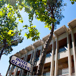 Photo n°1 de l'avis de Grizzlina.r fait le 18/08/2016 à 22:32 sur le  L'hotel Gladys à Cesenatico