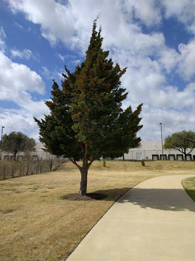 Park «Roanoke Community Park», reviews and photos, 201 Park Dr, Roanoke, TX 76262, USA