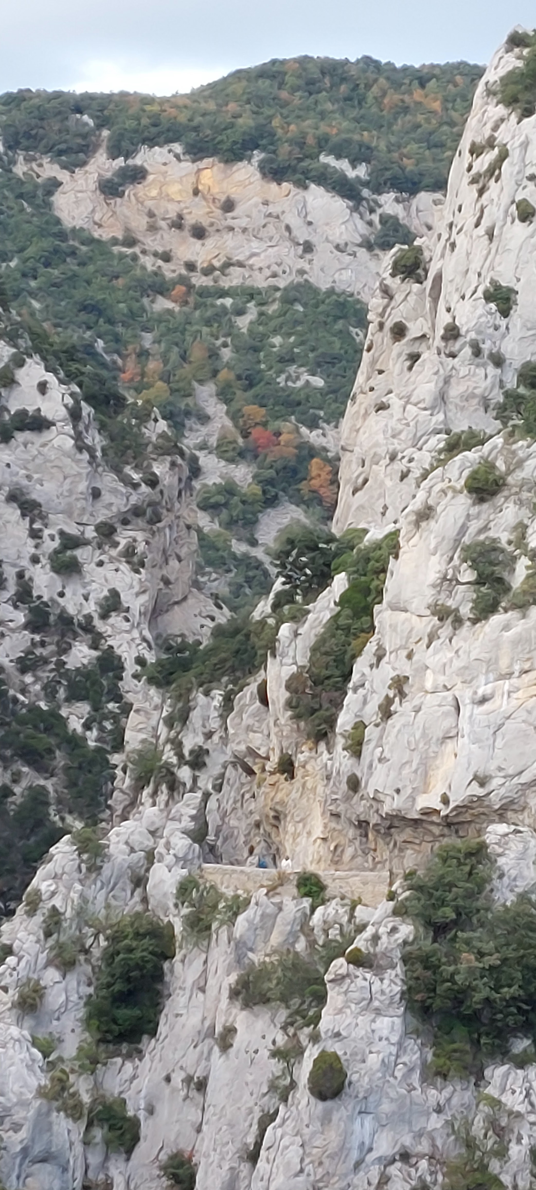 Photo n° 2 de l'avis de Fred.a fait le 02/12/2023 à 18:18