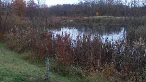 Golf Course «Cattails at MeadowView Golf Course», reviews and photos, 1901 Meadowview Pkwy, Kingsport, TN 37660, USA