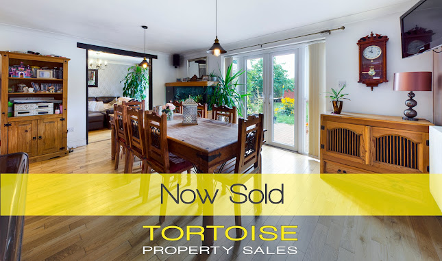 Tortoise Property - Real estate agency