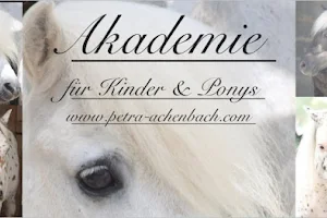 Petra Achenbach Akademie für Kinder und Ponys image