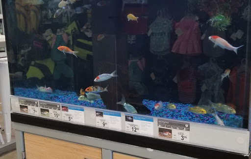 Pet Supply Store «Petco Animal Supplies», reviews and photos, 859 Kings Creek Dr, Tupelo, MS 38804, USA
