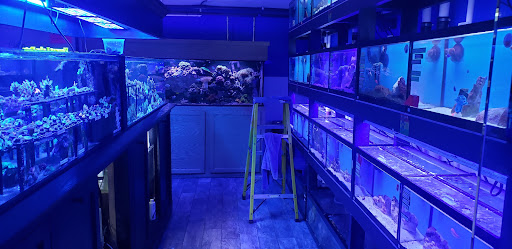 Pet Store «Forest Lake Pets», reviews and photos, 120 Lake St N, Forest Lake, MN 55025, USA